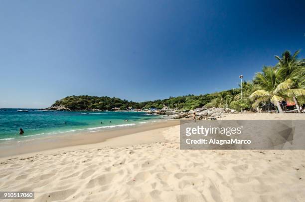 manzanillo beach - puerto escondido stock pictures, royalty-free photos & images