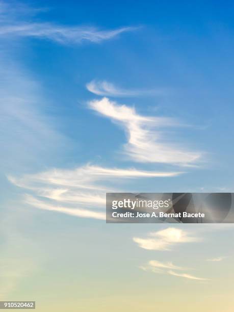 full frame of the low angle view of clouds of colors in sky during sunset. valencian community, spain - sky full frame stock pictures, royalty-free photos & images