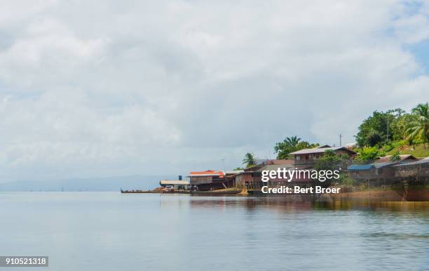 houses on the brokopondo lake in suriname - gazon stock pictures, royalty-free photos & images