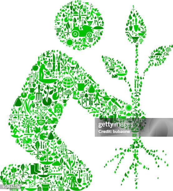 Tree Planting Pattern 514 Planting Maple Tree Stock Photos, High-Res Pictures, and Images ...
