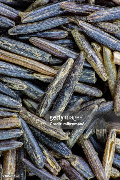 wild rice directly above view, macro shot. traditional food. - national diet of japan stock pictures, royalty-free photos & images