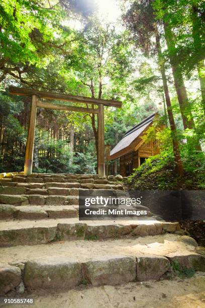stone steps at shinto sakurai shrine, fukuoka, japan. - torii tor stock-fotos und bilder