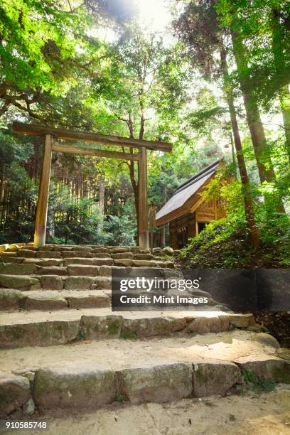 stone steps at shinto sakurai shrine, fukuoka, japan. - shrine ストックフォトと画像