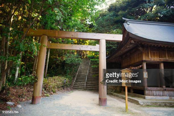 wooden gate at shinto sakurai shrine, fukuoka, japan. - shrine stock-fotos und bilder