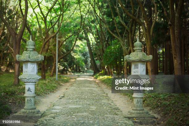 path at shinto sakurai shrine, fukuoka, japan. - santuario foto e immagini stock