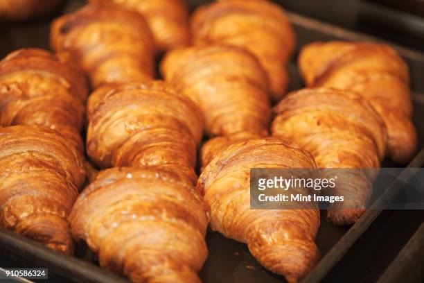 close up of tray of freshly baked croissants in a bakery. - 郷土料理　日本 ストックフォトと画像