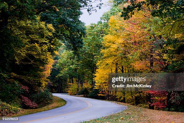 autumn color - blue ridge parkway stock pictures, royalty-free photos & images