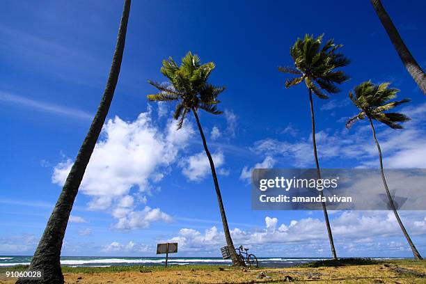 blue sky - forte beach ストックフォトと画像