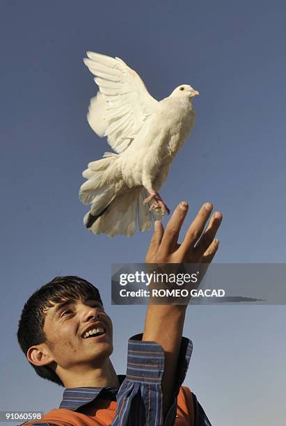 An Afghan youth releases a white dove to start a peace festival at Nader Khan Hill overlooking Kabul on September 23, 2009. The festival was part of...