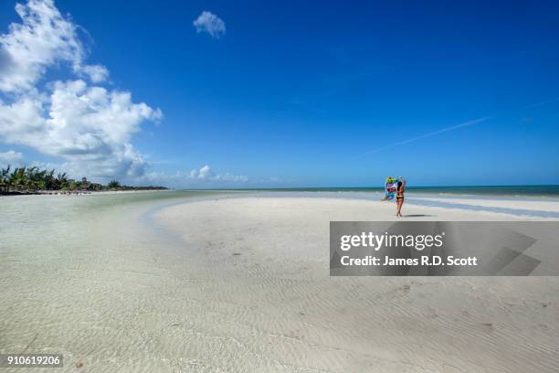 woman walking along beach at holbox island - holbox island fotografías e imágenes de stock