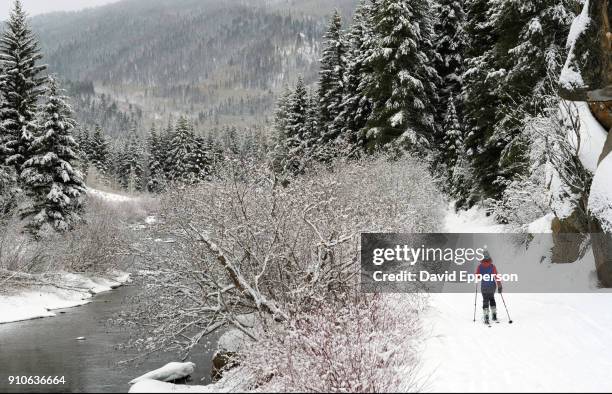 woman back country ski touring along river in colorado - steamboat springs stock pictures, royalty-free photos & images