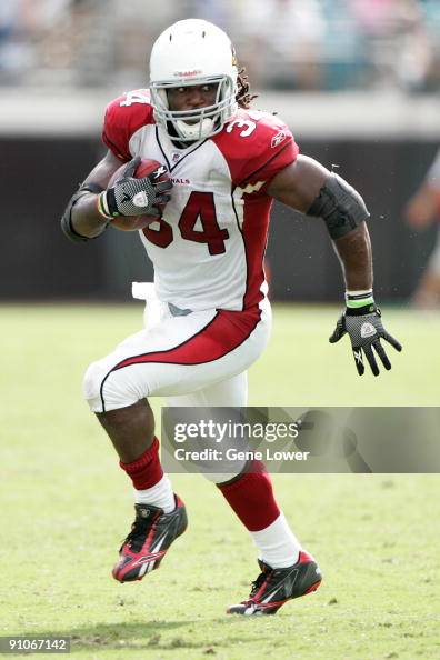 Tim Hightower Arizona Cardinals running back Tim Hightower runs down field during a ...
