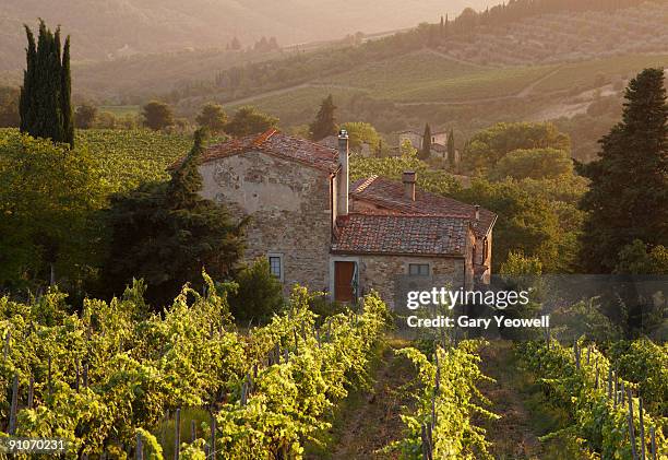 farmhouse in vineyard at sunset - farmhouse stock pictures, royalty-free photos & images