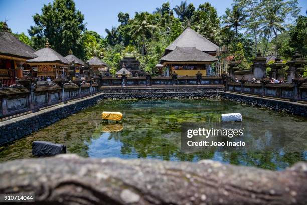 tirta empul temple (hindu balinese water temple), bali, indonesia - tirta empul temple stock pictures, royalty-free photos & images