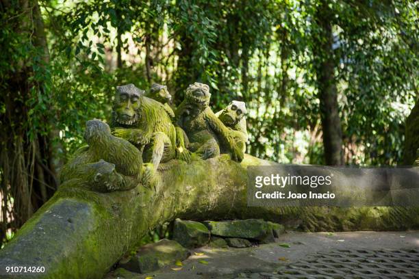sacred monkey forest sanctuary, ubud monkey forest, bali, indonesia - ubud monkey forest stock pictures, royalty-free photos & images