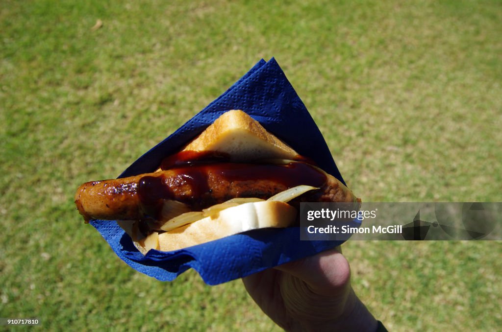 Sausage sizzle sandwich with fried onion and BBQ sauce in a blue paper napkin held in a man's hand in a park