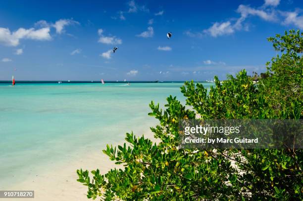 kite surfers and beach side vegetation at hadicuri beach, noord, aruba - noord amerika stock-fotos und bilder