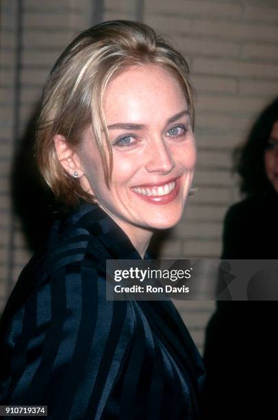 American actress Sharon Stone attends the 6th Annual Fire & Ice Ball to Benefit Revlon/UCLA Women's Cancer Research Program on November 13, 1995 at...