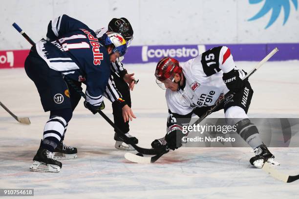 Bully between Keith Aucoin of Red Bull Munich and T.J. Mulock of Koelner Haie during the 46th game day of the German Ice Hockey League between Red...