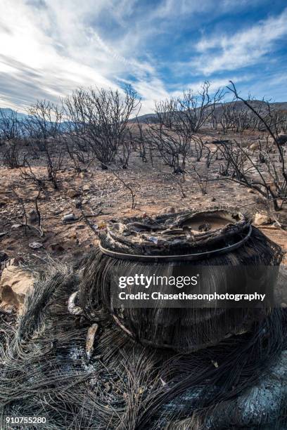 remains of burnt car tire on destroyed hillside post 2018 california wildfires - ojai california foto e immagini stock