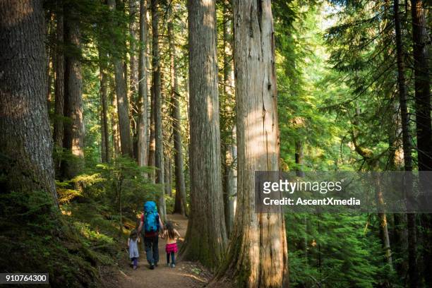 father and daughters immersed in nature - british columbia stock pictures, royalty-free photos & images