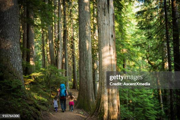father and daughters immersed in nature - whistler colúmbia britânica imagens e fotografias de stock