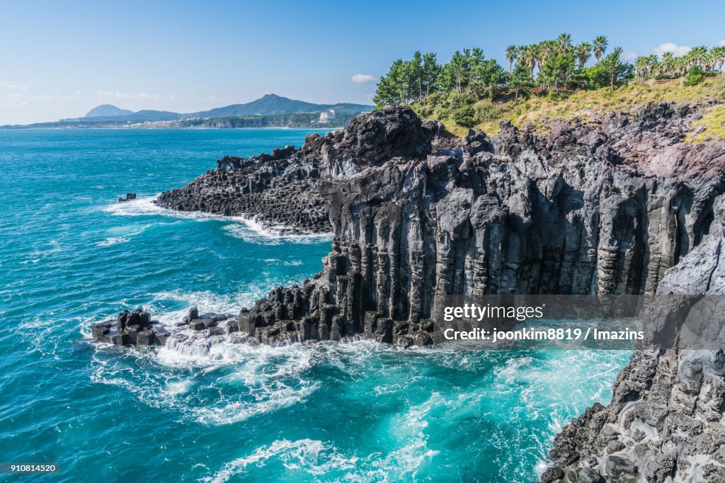 Landscape of Jusangjeolli Cliff (Korea Natural Monument 443) in Jeju