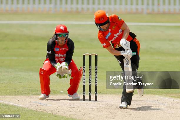Natalie Sciver of the Scorchers is caught and bowled by Sophie Molineux of the Renegades during the Women's Big Bash League match between the...