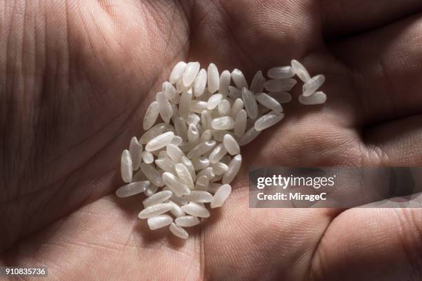 white rice grains in palm - rice stock pictures, royalty-free photos & images