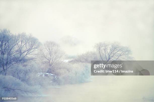 view of snow-scene of soyang forest - chuncheon fotos stock-fotos und bilder