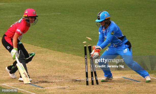 Alyssa Healy of the Sixers makes her ground as Tegan McPharlin of the Strikers gathers the ball during the Women's Big Bash League match between the...