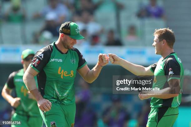 John Hastings of the Stars celebrates taking a wicket during the Big Bash League match between the Melbourne Stars and and the Hobart Hurricanes at...