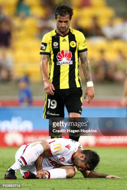 Nikola Mileusnic of Adelaide United holds his ankle after being tackled by Tom Doyle of the Phoenix during the round 18 A-League match between the...