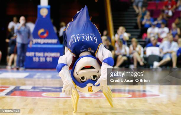 Bullets mascott Boom performs during the round 16 NBL match between the Brisbane Bullets and the Adelaide 36ers at Brisbane Convention & Exhibition...