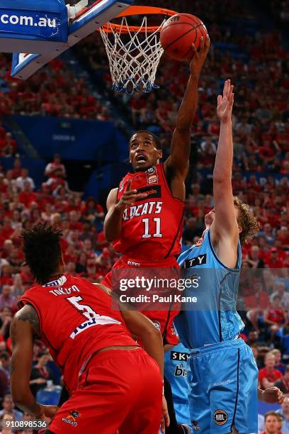 Bryce Cotton of the Wildcats puts a shot up during the round 16 NBL match between the Perth Wildcats and the New Zealand Breakers at Perth Arena on...