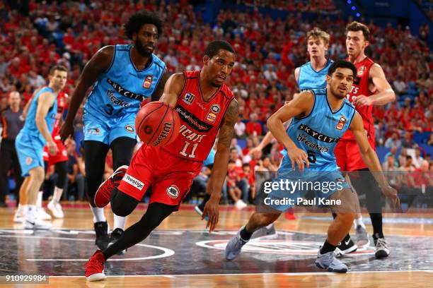 Bryce Cotton of the Wildcats controls the ball during the round 16 NBL match between the Perth Wildcats and the New Zealand Breakers at Perth Arena...