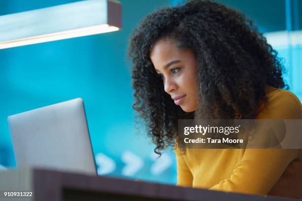 young woman on laptop in office - concentração - fotografias e filmes do acervo