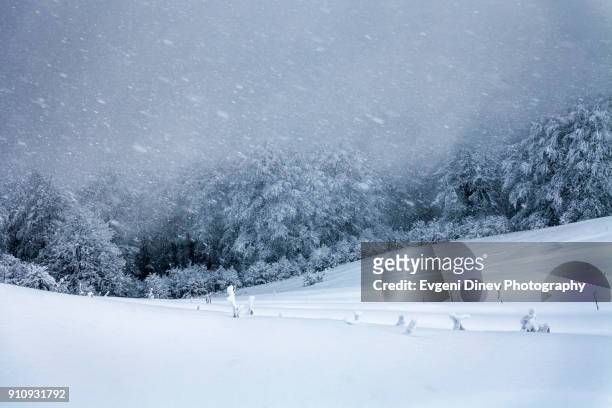snow blizzard in the mountain - schneesturm stock-fotos und bilder