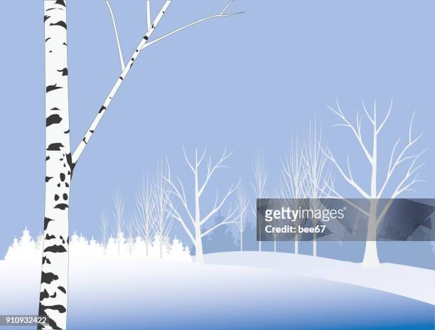 winter day - illustration - birch tree forest stock illustrations