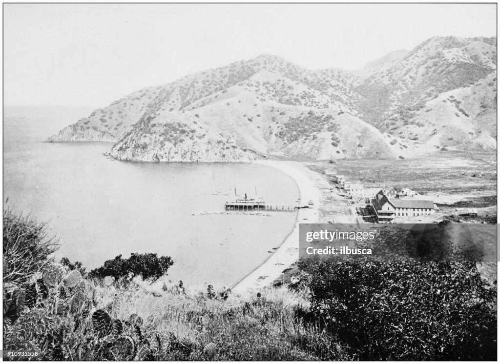 Antique photograph of World's famous sites: Avalon Harbour, Santa Catalina Island, California