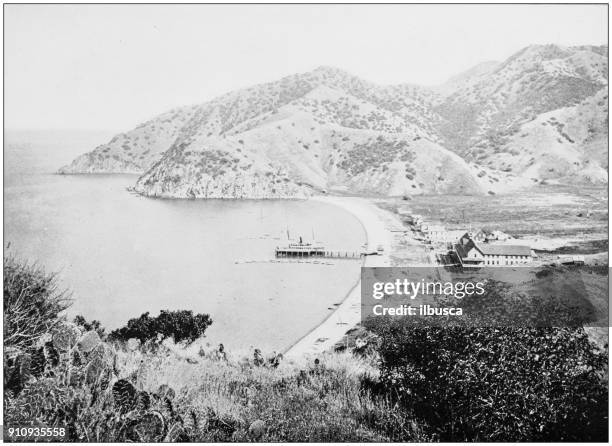 antique photograph of world's famous sites: avalon harbour, santa catalina island, california - avalon catalina island california stock illustrations