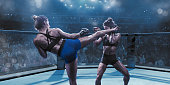 Professional Female Mixed Martial Arts Fighters Fighting In Octagon