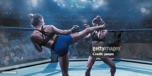 professional female mixed martial arts fighters fighting in octagon - mixed martial arts stock pictures, royalty-free photos & images