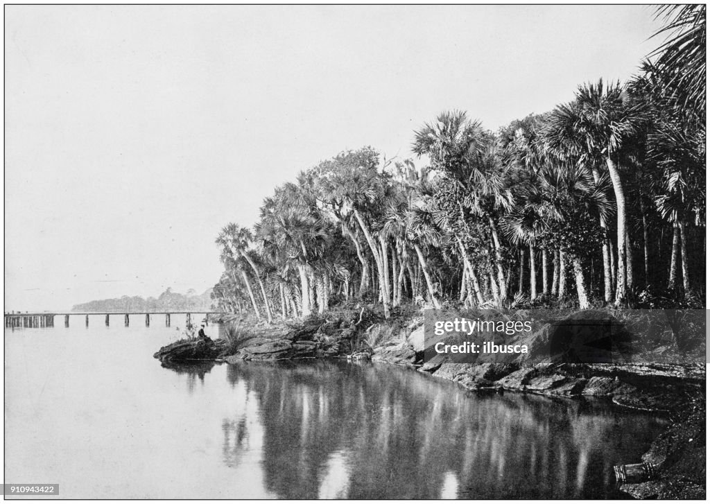 Antique photograph of World's famous sites: Indian River, Florida