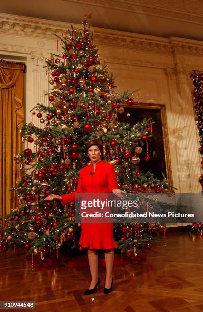 View of US First Lady Laura Bush as she talks in front of a Christmas tree in the White House's East Room, Washington DC, December 5, 2002.
