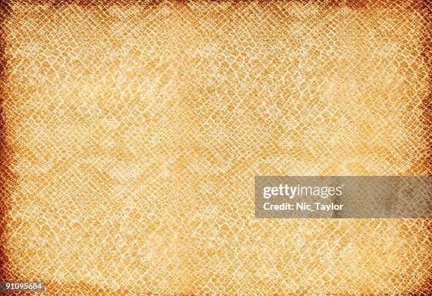 scale paper - snake texture stock pictures, royalty-free photos & images