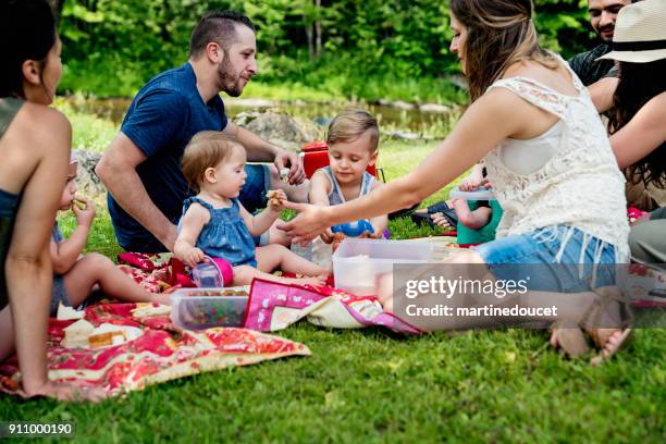 millennials families having a picnic outdoors in summer. - 12 23 months stock pictures, royalty-free photos & images
