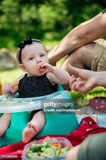 millennials families having a picnic outdoors in summer. - 12 23 months stock pictures, royalty-free photos & images