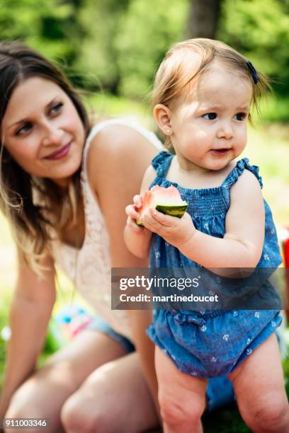 millennials families having a picnic outdoors in summer. - 12 23 months stock pictures, royalty-free photos & images