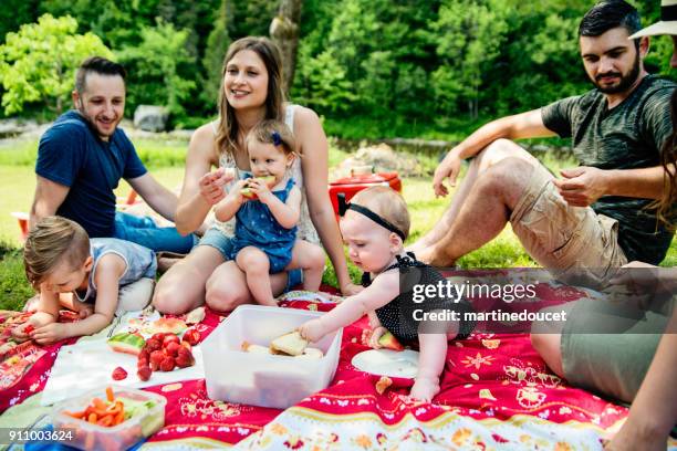 millennials families having a picnic outdoors in summer. - 12 23 months stock pictures, royalty-free photos & images